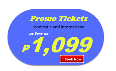 Cebu Pacific Air
