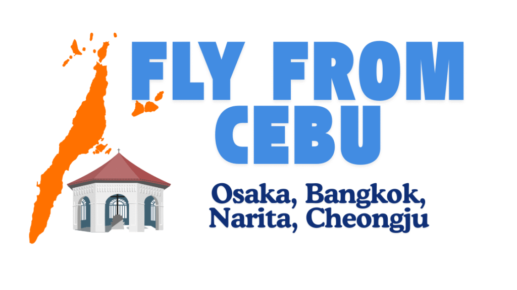 fly from cebu